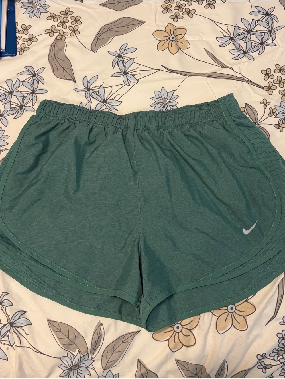 Nike Women’s Shorts - Green